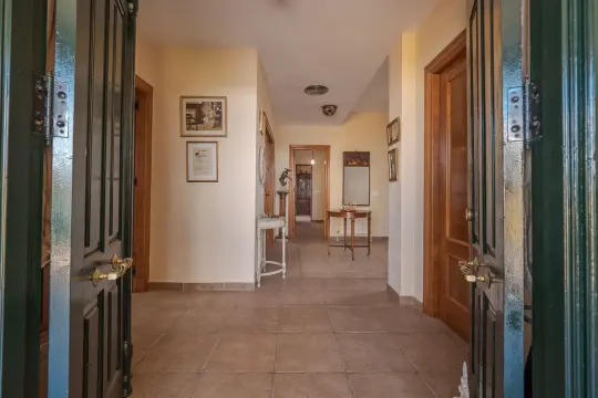 Image 9 thumb