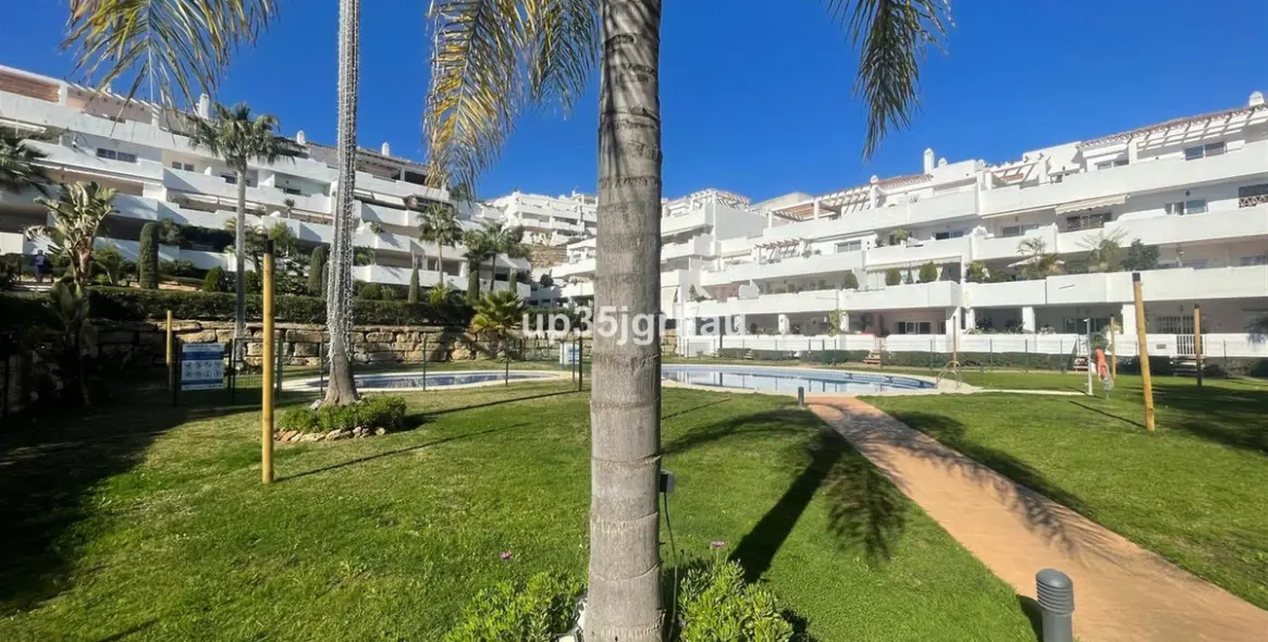 Продажа пентхауса в Selwo 1