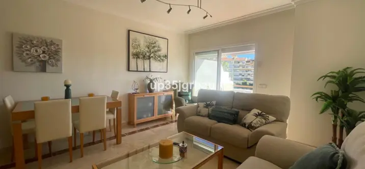 Продажа пентхауса в Selwo 2