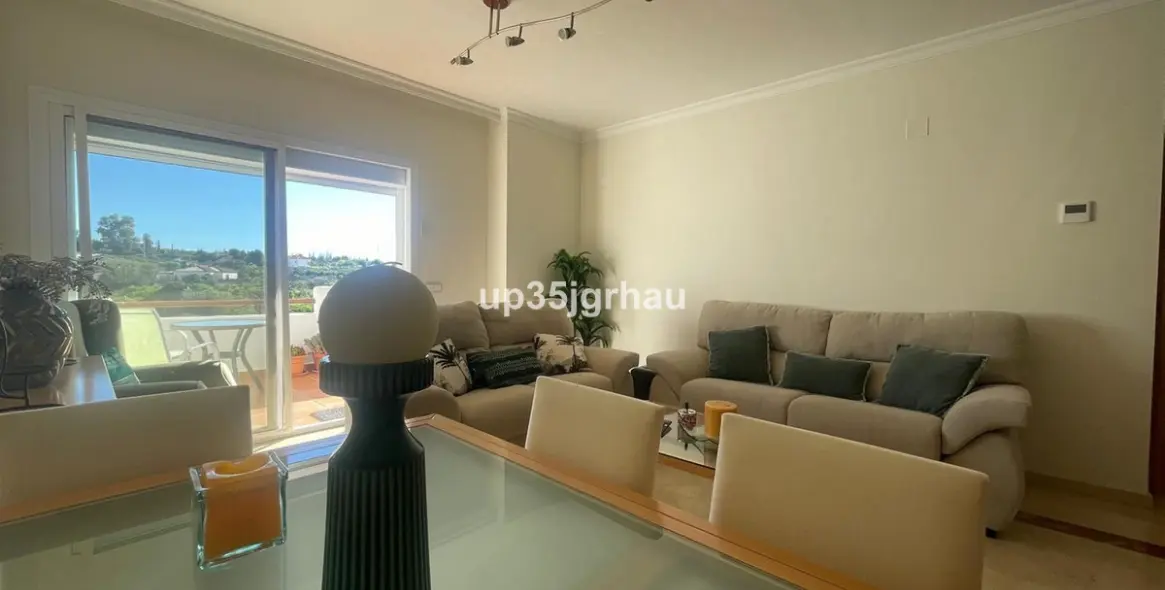 Продажа пентхауса в Selwo 13