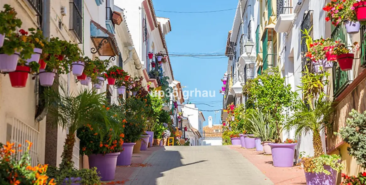 Sale of penthouse in Selwo 28