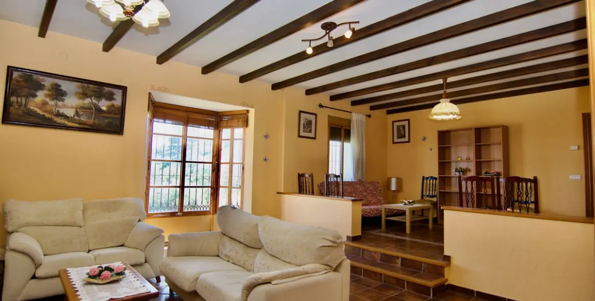 Продажа  отдельно стоящей виллы в Churriana 21