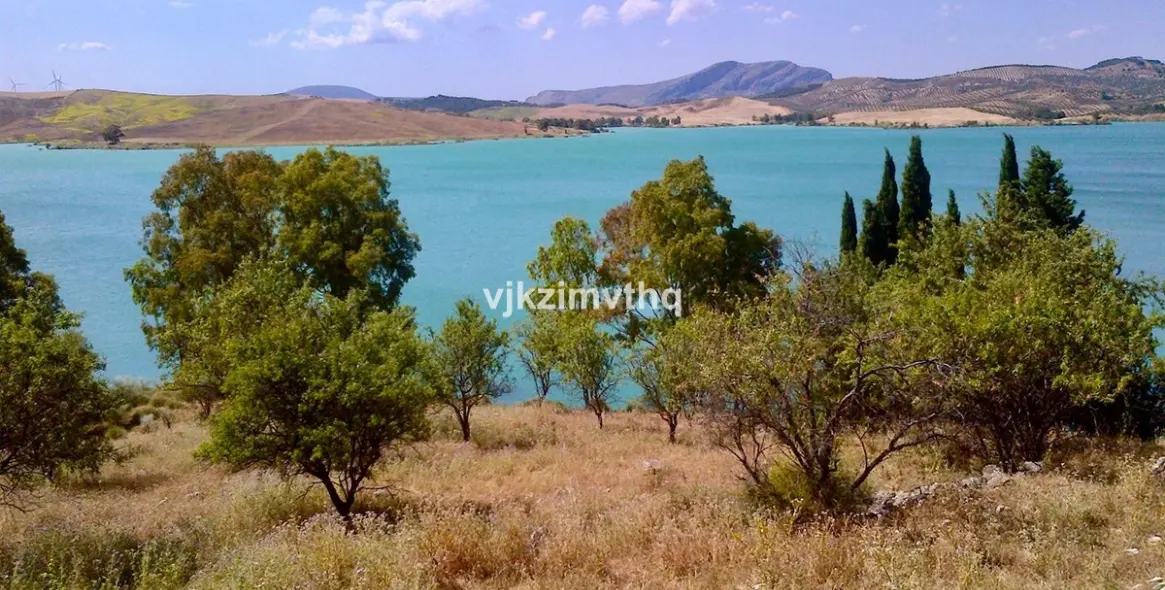 Sale of commercial plot in Ardales 13