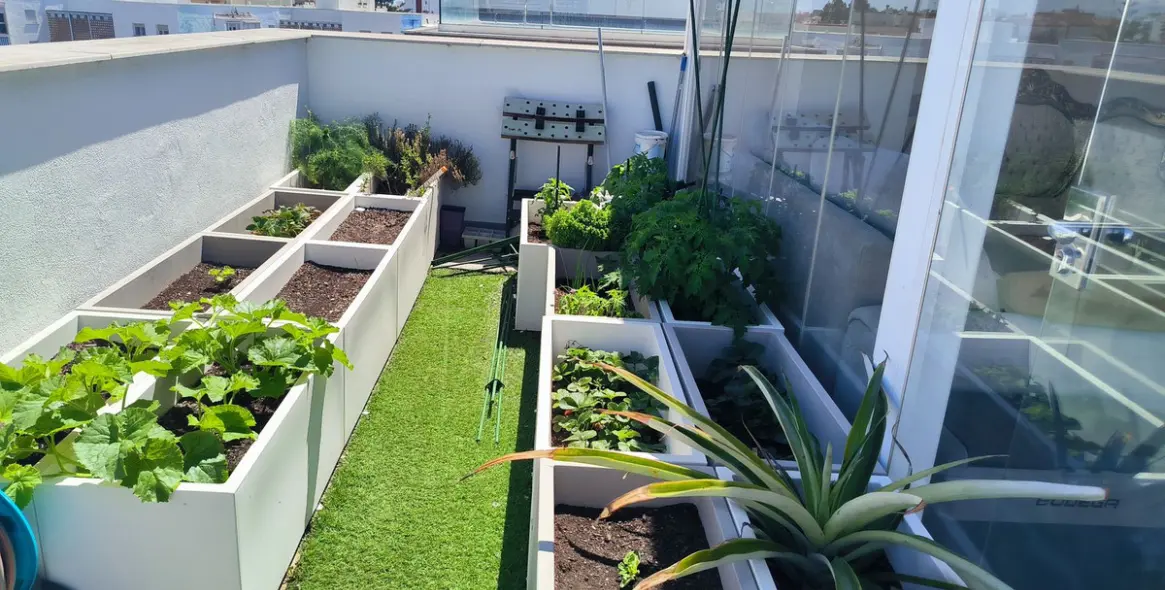 Sale of penthouse in Estepona 56