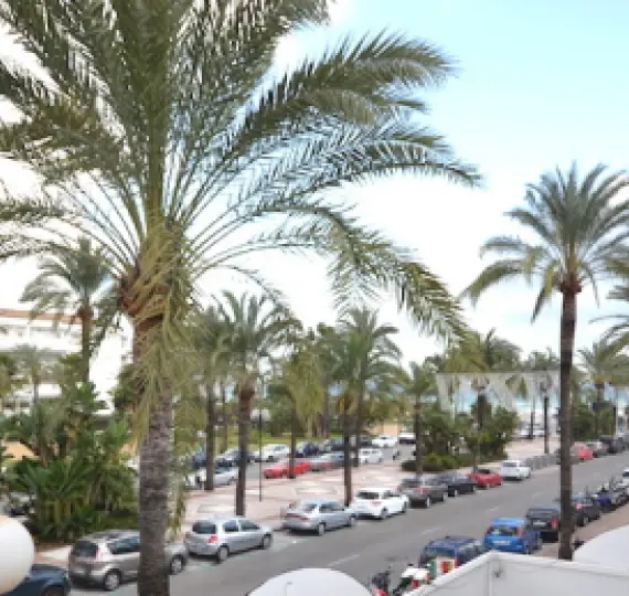 Long-term rent of office in Puerto Banús