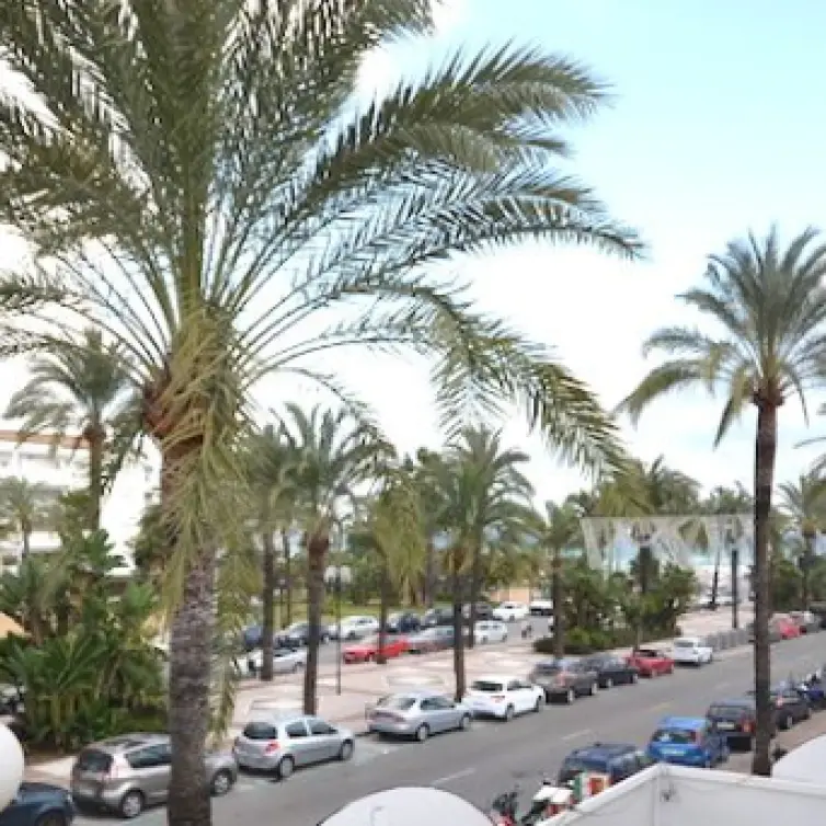 Long-term rent of office in Puerto Banús