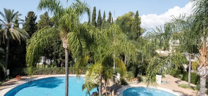 Sale of middle floor apartment in Nueva Andalucía 3