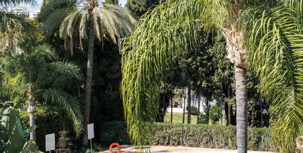 Sale of middle floor apartment in Nueva Andalucía 18