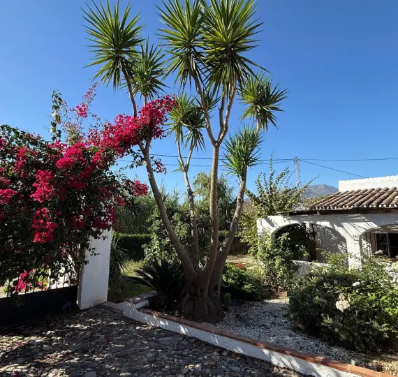 Venta de finca - cortijo en Coín