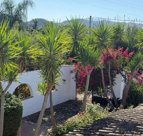 Venta de finca - cortijo en Coín