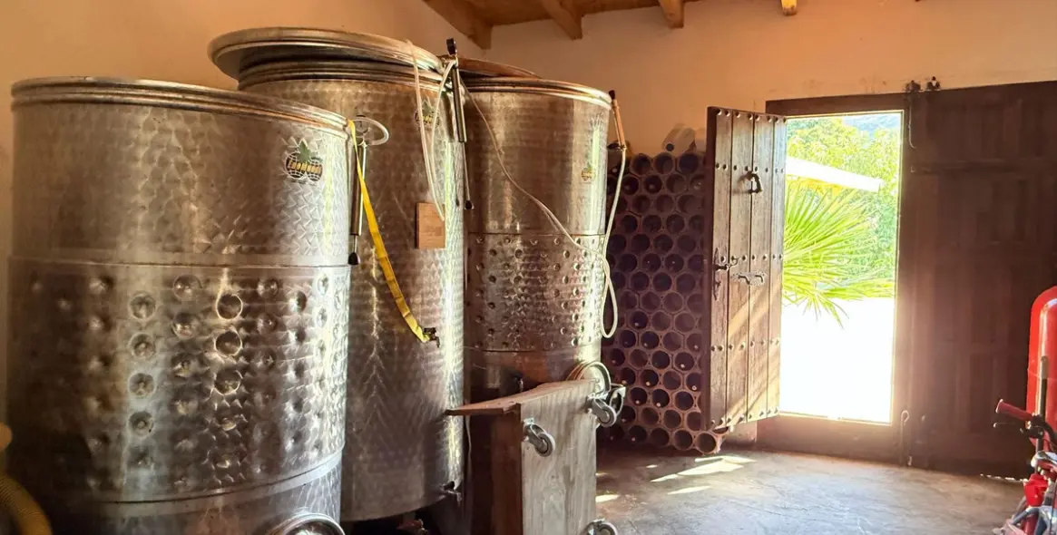 Sale of finca - cortijo in Coín 50