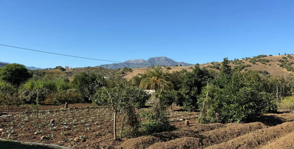 Sale of finca - cortijo in Coín 56