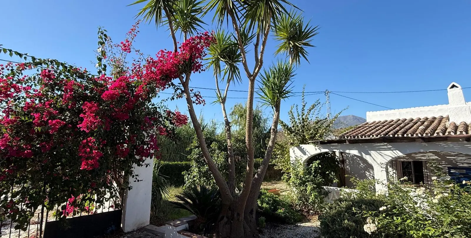 Sale of finca - cortijo in Coín 2
