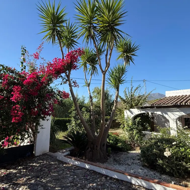 Venta de finca - cortijo en Coín