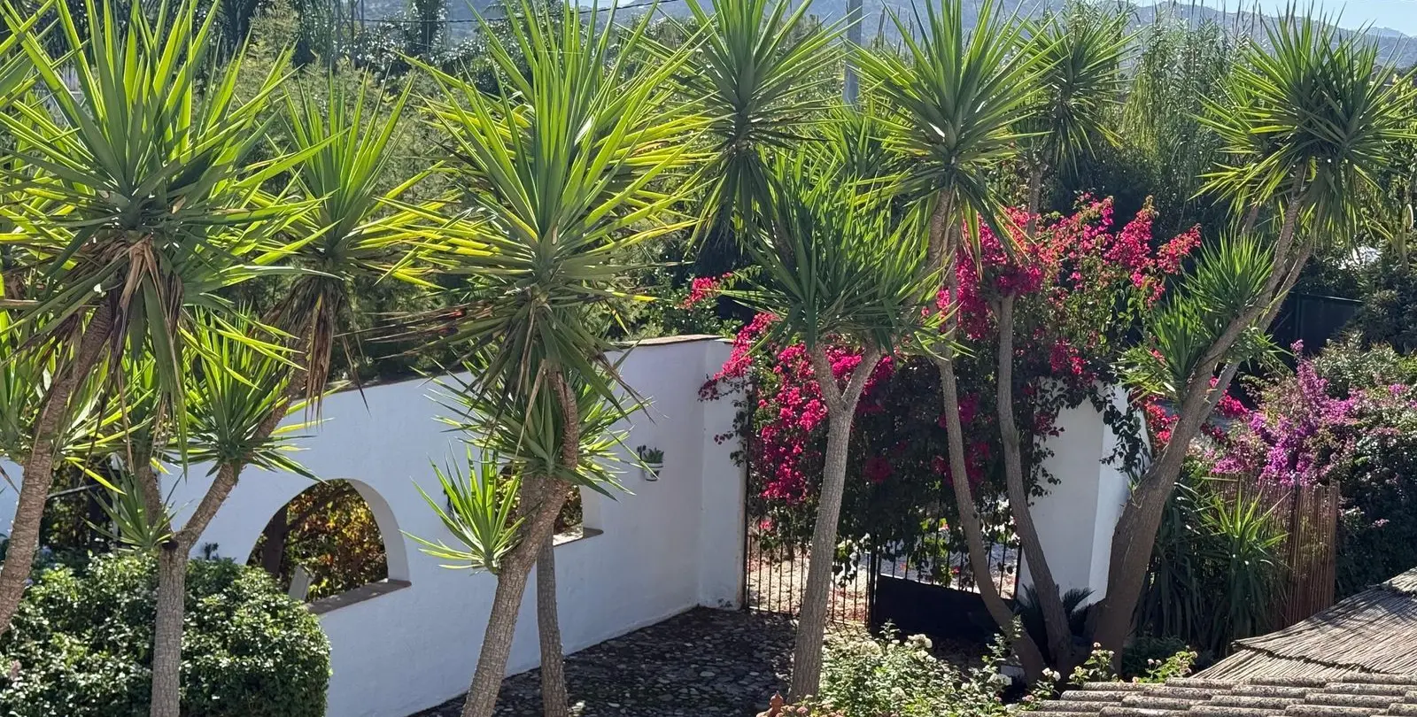 Sale of finca - cortijo in Coín 4