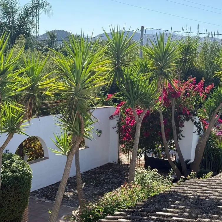 Venta de finca - cortijo en Coín