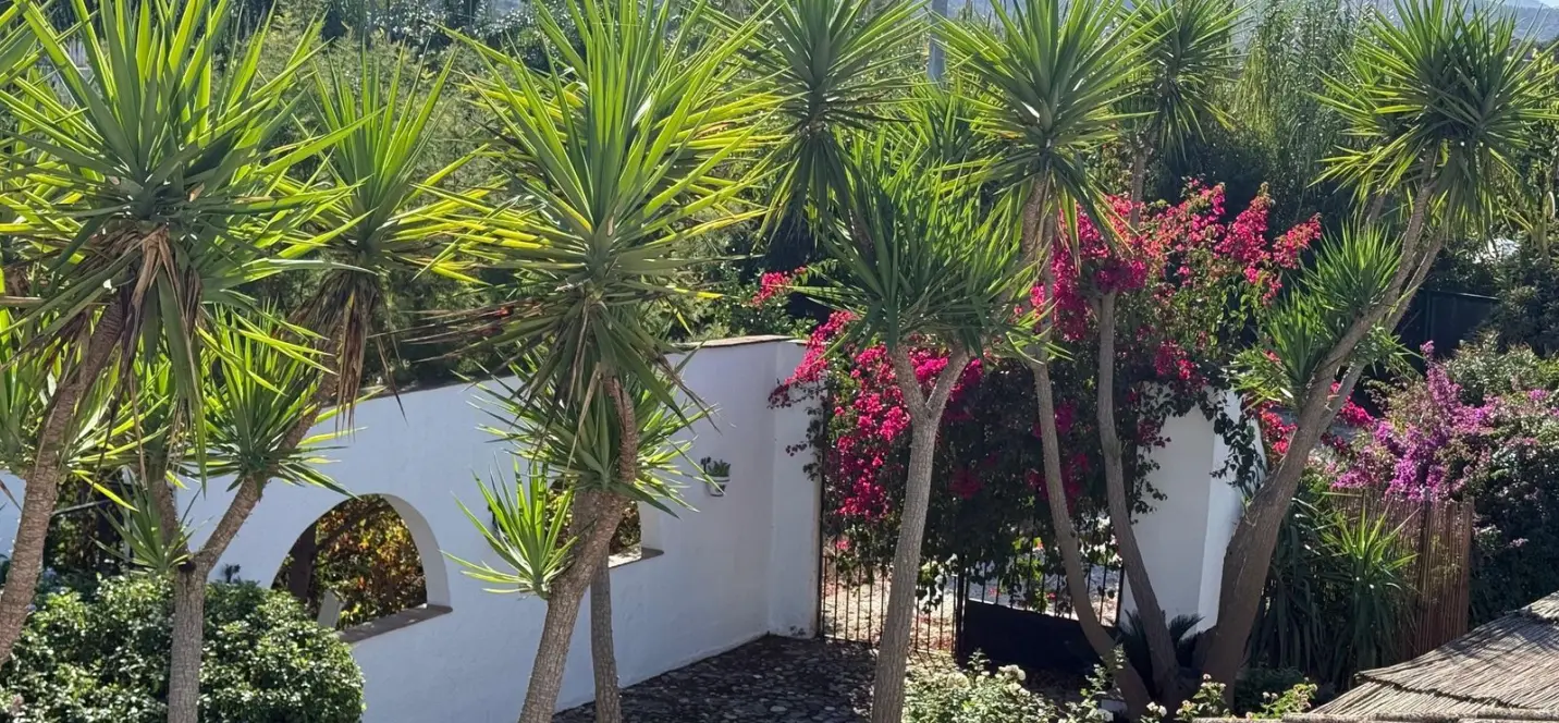 Venta de finca - cortijo en Coín 3