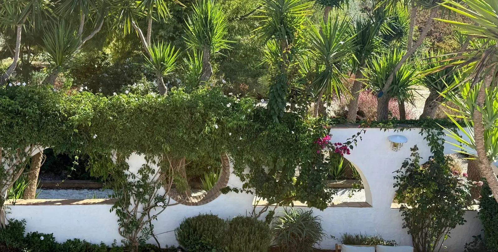 Sale of finca - cortijo in Coín 46