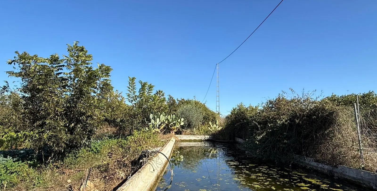 Sale of finca - cortijo in Coín 52