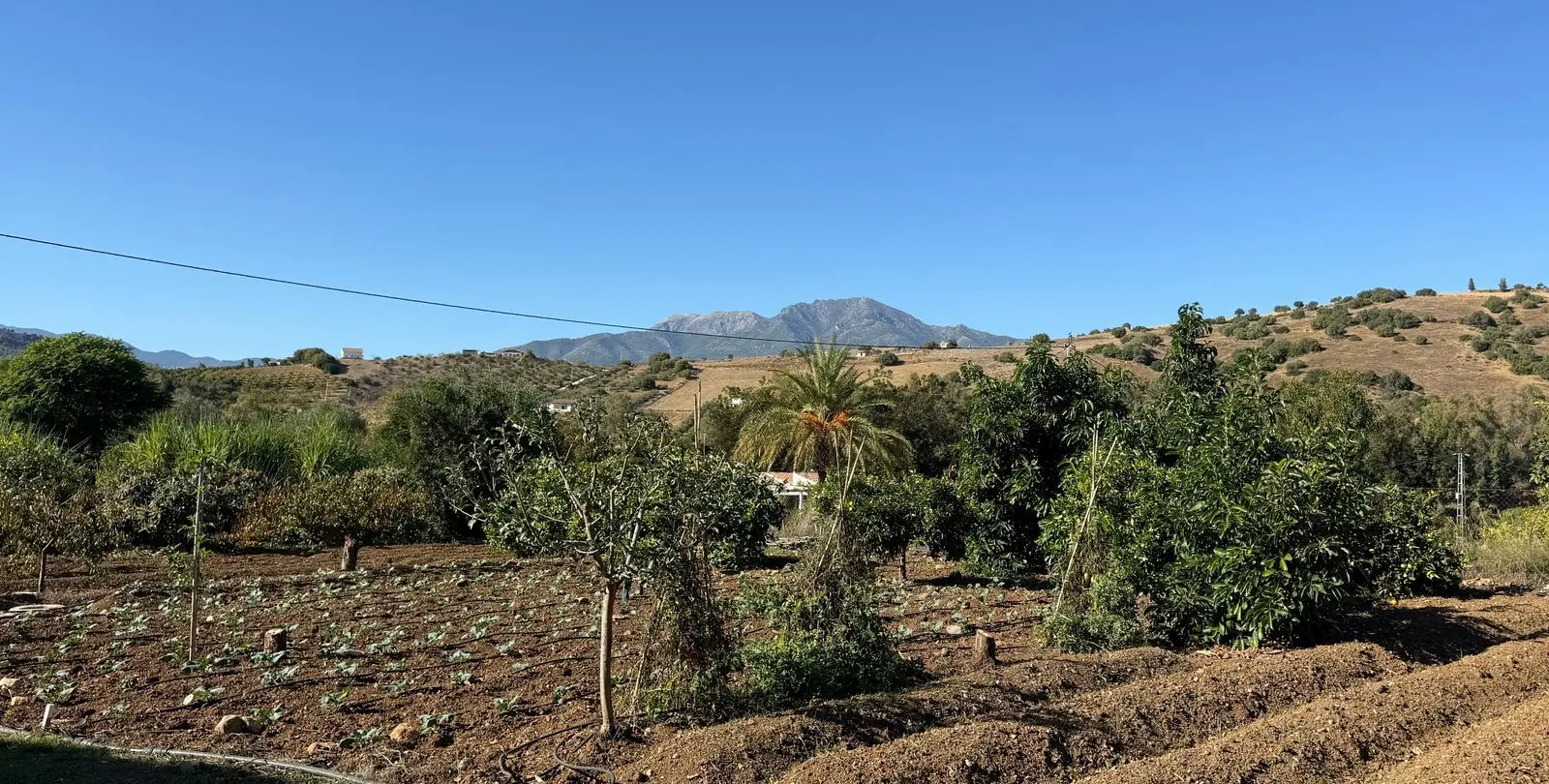 Sale of finca - cortijo in Coín 56