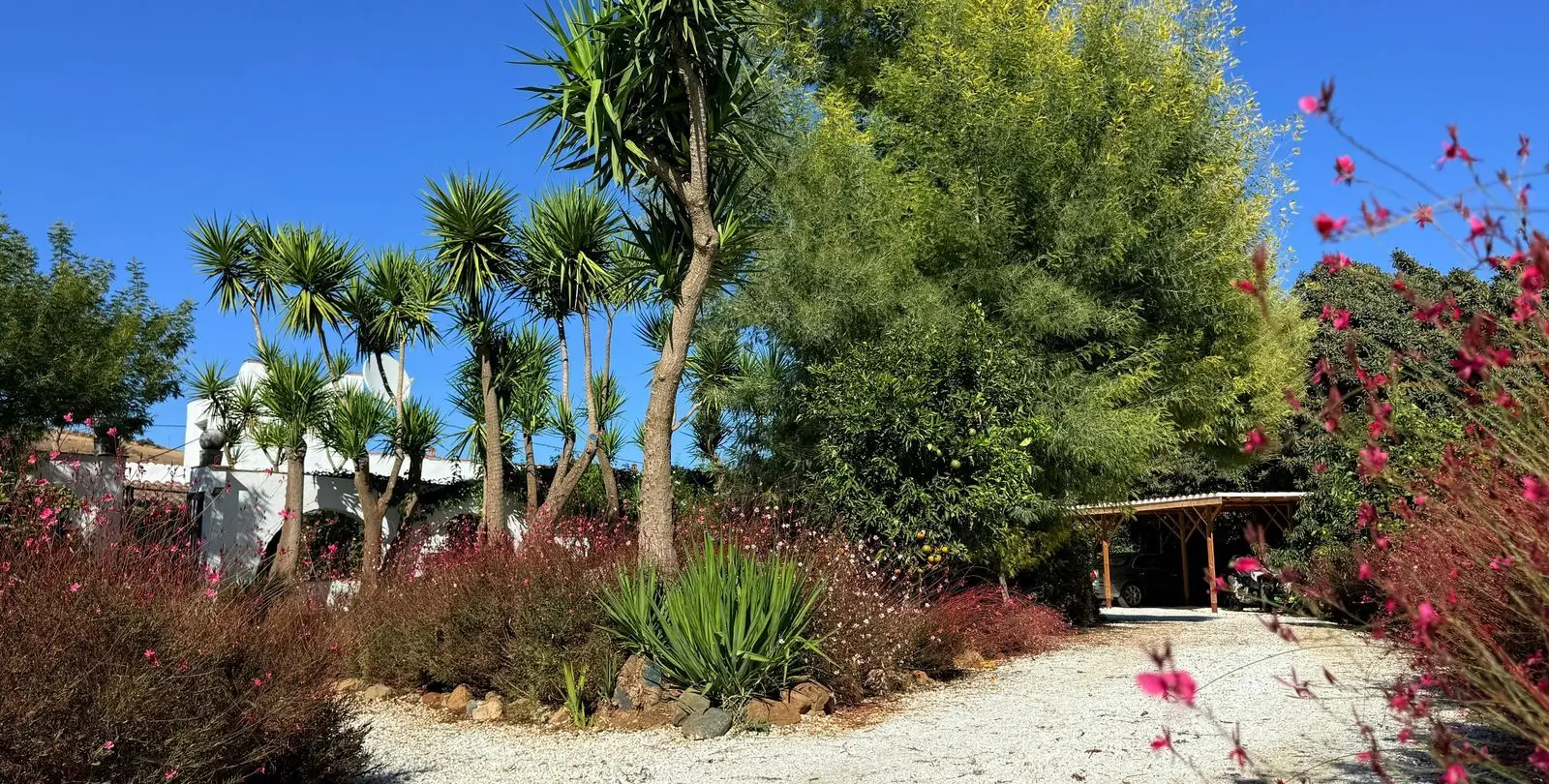 Sale of finca - cortijo in Coín 59