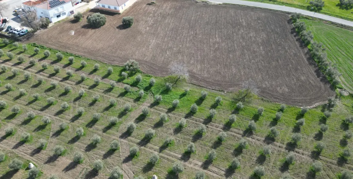 Venta de parcela residencial en Cuevas del Becerro 1