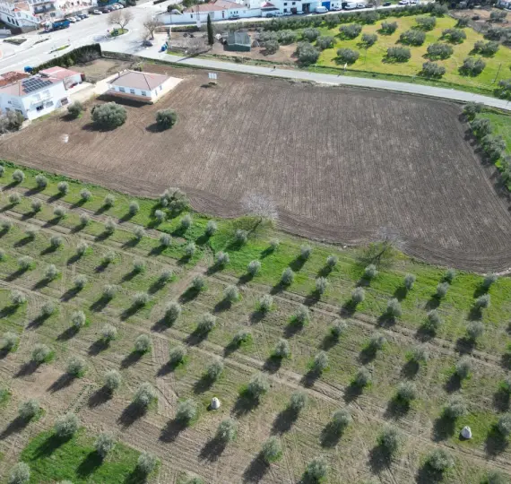 Venta de parcela residencial en Cuevas del Becerro