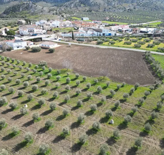 Venta de parcela residencial en Cuevas del Becerro