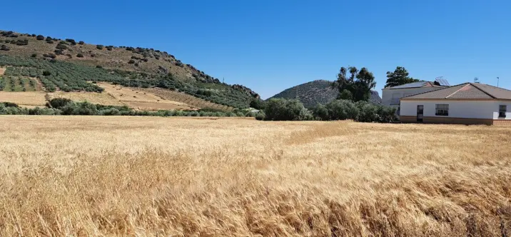 Venta de parcela residencial en Cuevas del Becerro 3