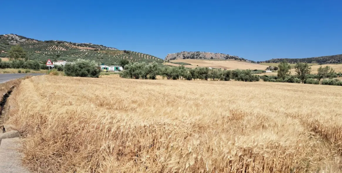 Venta de parcela residencial en Cuevas del Becerro 5