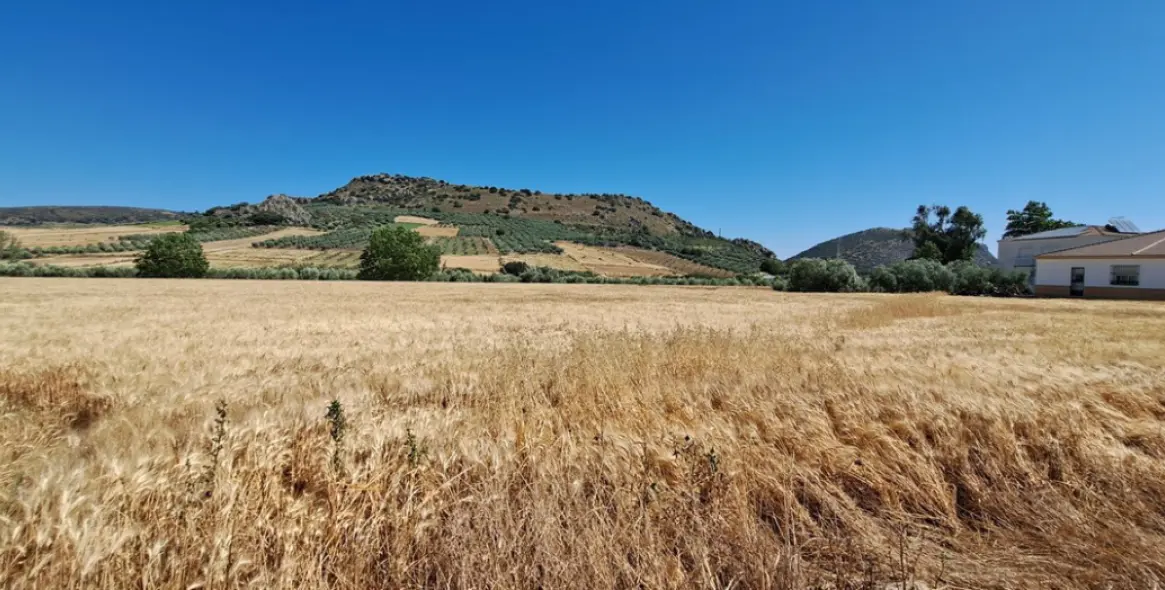 Venta de parcela residencial en Cuevas del Becerro 8