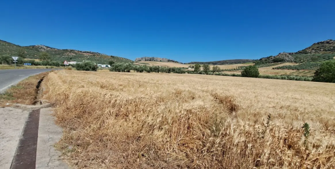 Venta de parcela residencial en Cuevas del Becerro 9