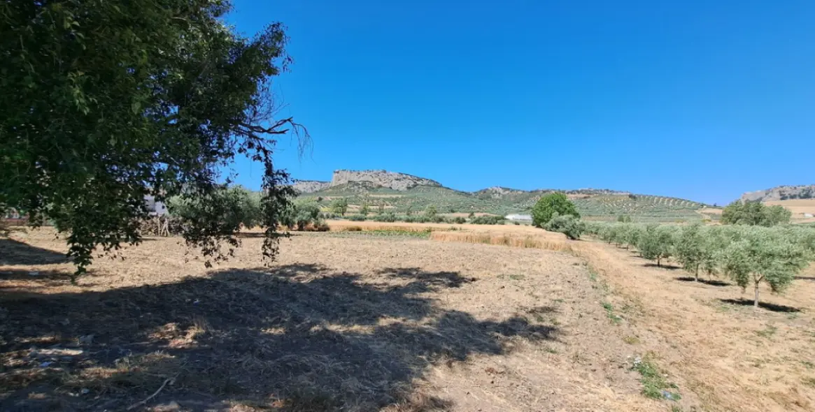 Venta de parcela residencial en Cuevas del Becerro 13