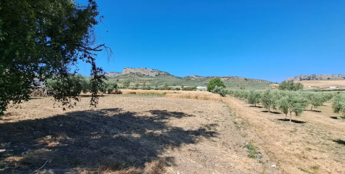 Venta de parcela residencial en Cuevas del Becerro 14