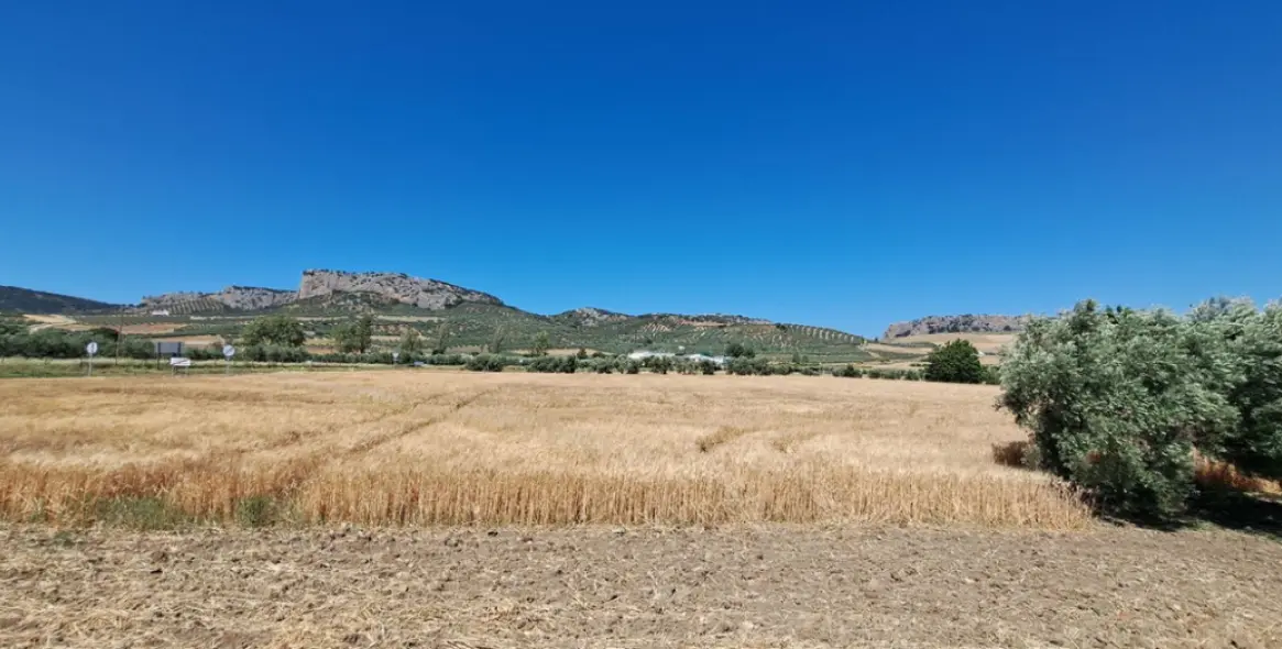 Venta de parcela residencial en Cuevas del Becerro 16