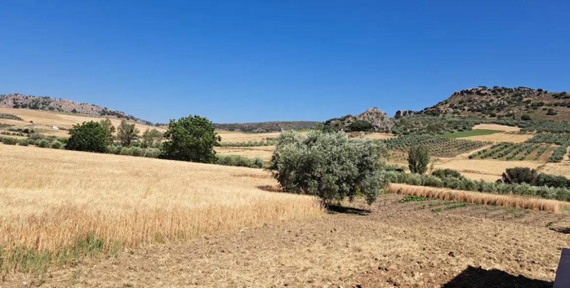 Venta de parcela residencial en Cuevas del Becerro 17