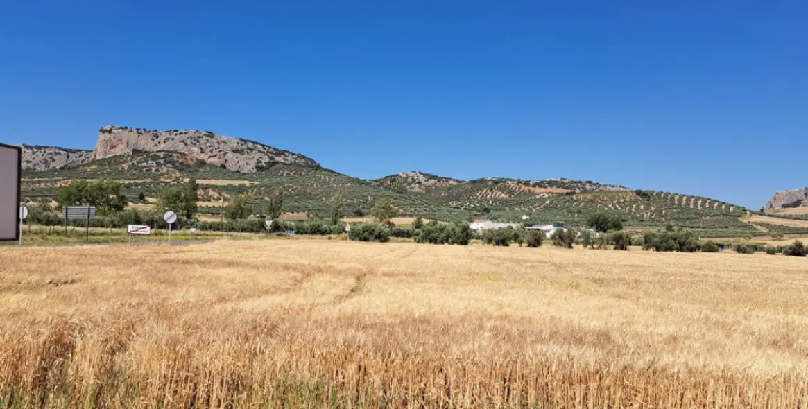 Venta de parcela residencial en Cuevas del Becerro 19