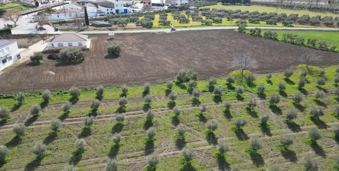 Venta de parcela residencial en Cuevas del Becerro 21