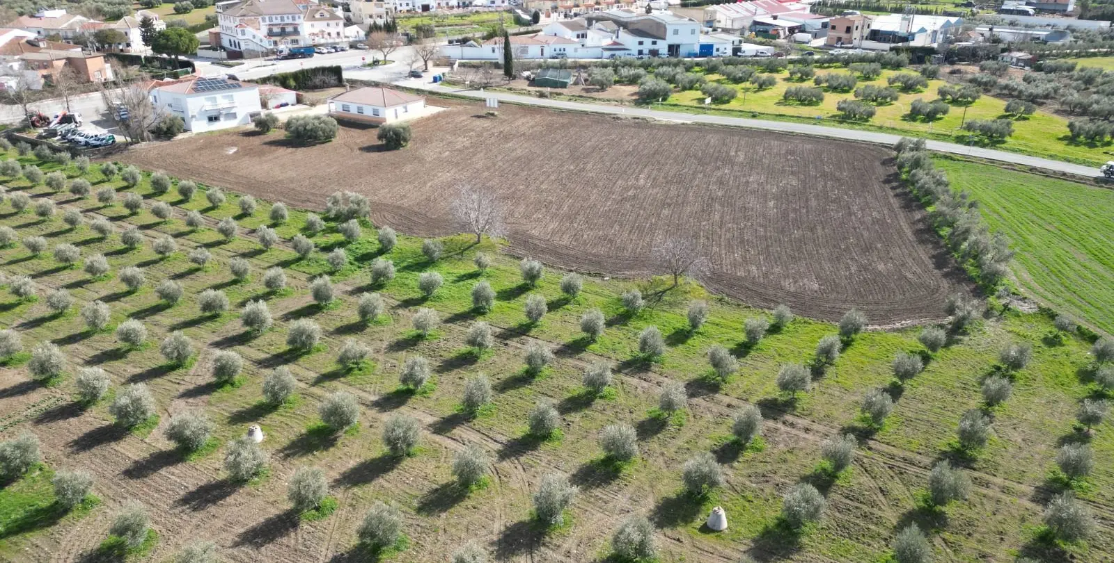 Sale of residential plot in Cuevas del Becerro 2