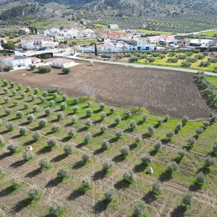 Продажа  жилого участка в Cuevas del Becerro
