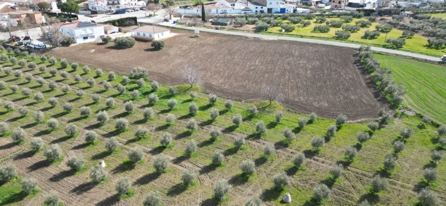 Продажа  жилого участка в Cuevas del Becerro 1