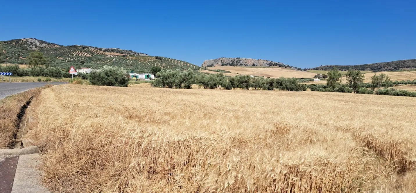 Продажа  жилого участка в Cuevas del Becerro 3
