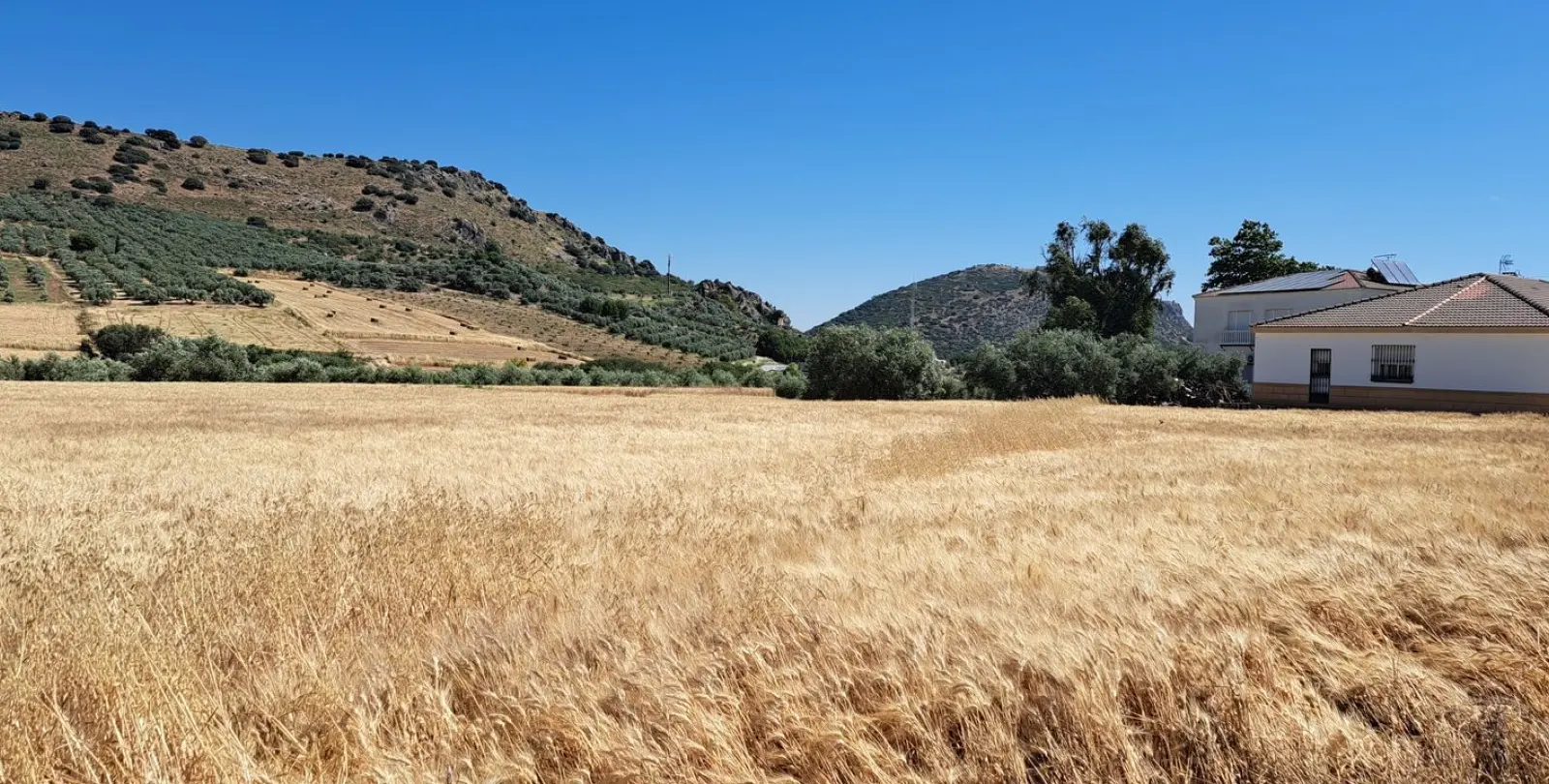 Sale of residential plot in Cuevas del Becerro 5