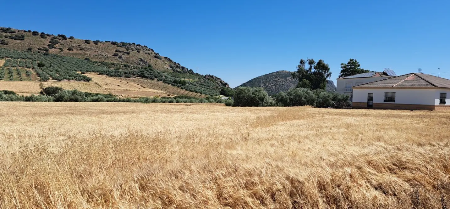 Продажа  жилого участка в Cuevas del Becerro 4