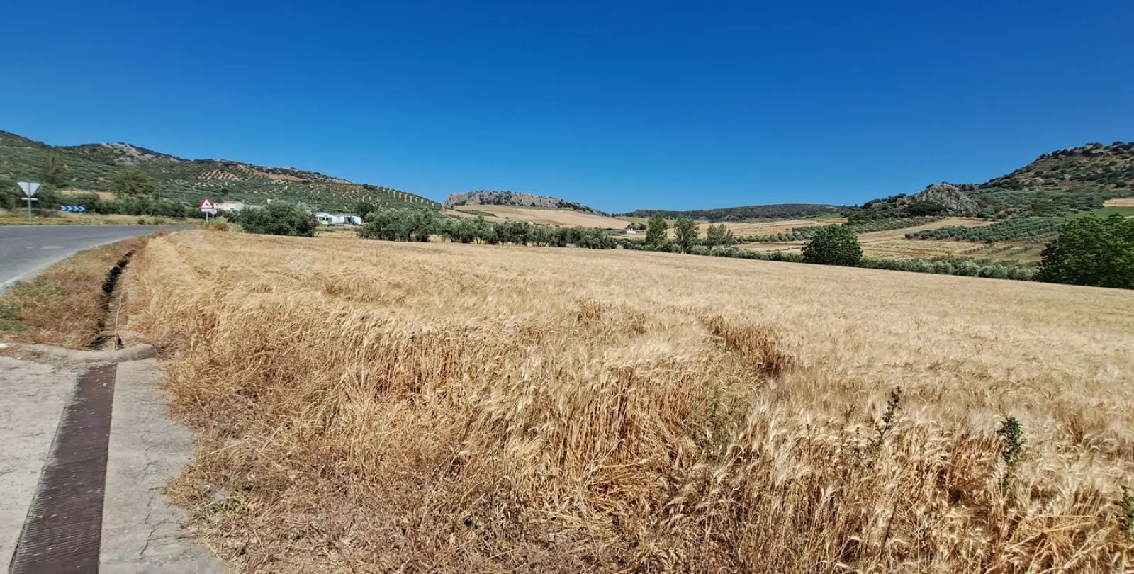 Sale of residential plot in Cuevas del Becerro 10
