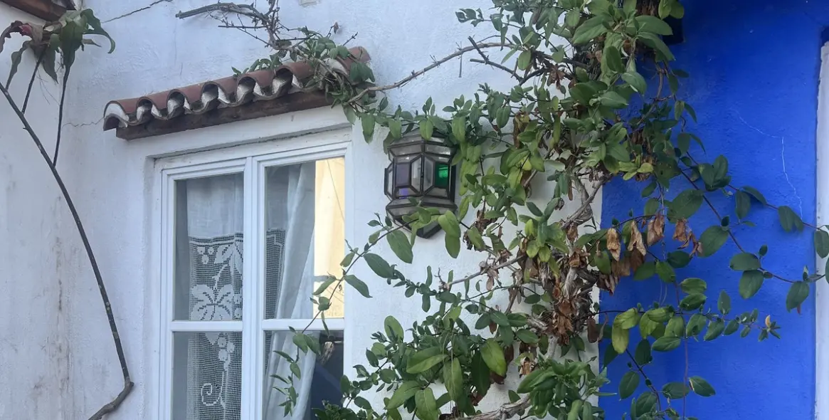 Sale of townhouse in Marbella 1