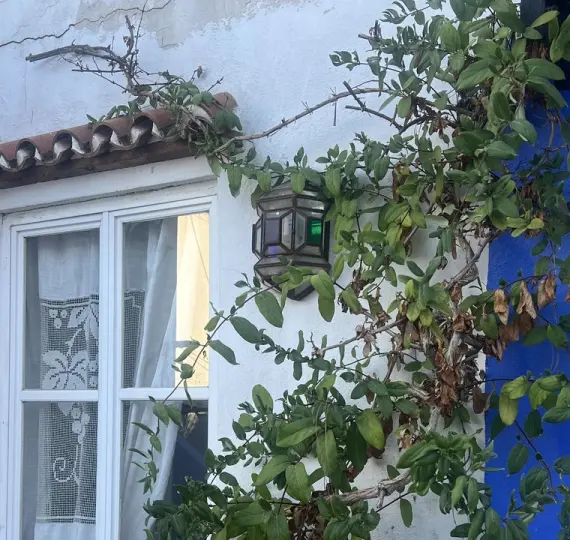 Sale of townhouse in Marbella