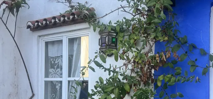 Sale of townhouse in Marbella 0