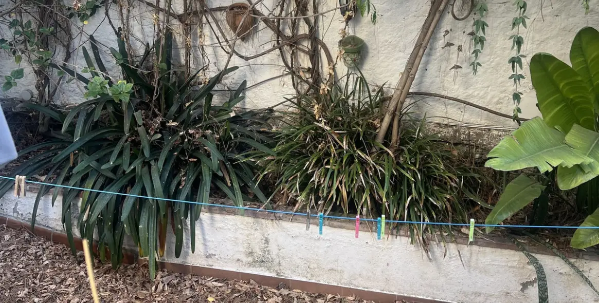 Продажа таунхауса в Marbella 22