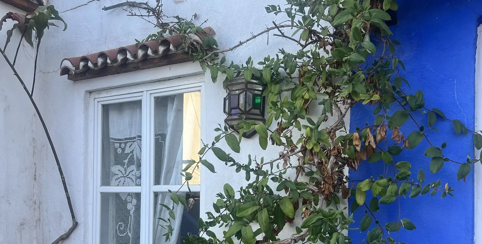 Venta de adosado en Marbella 5